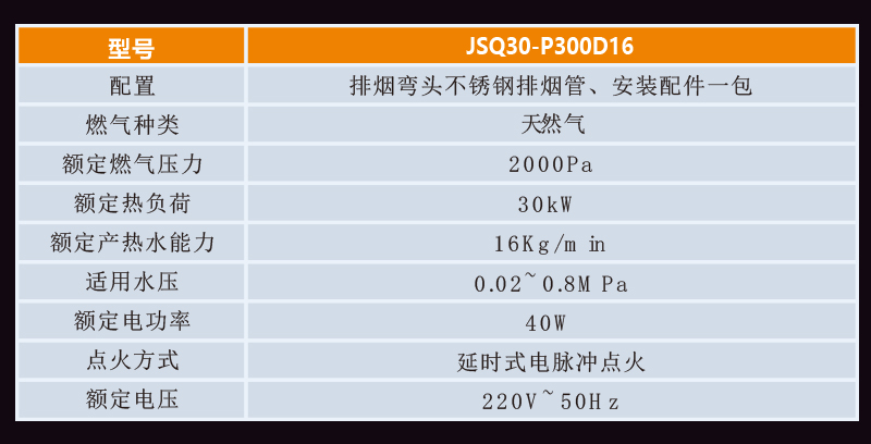 規(guī)格燃氣詳情圖P300D16.jpg